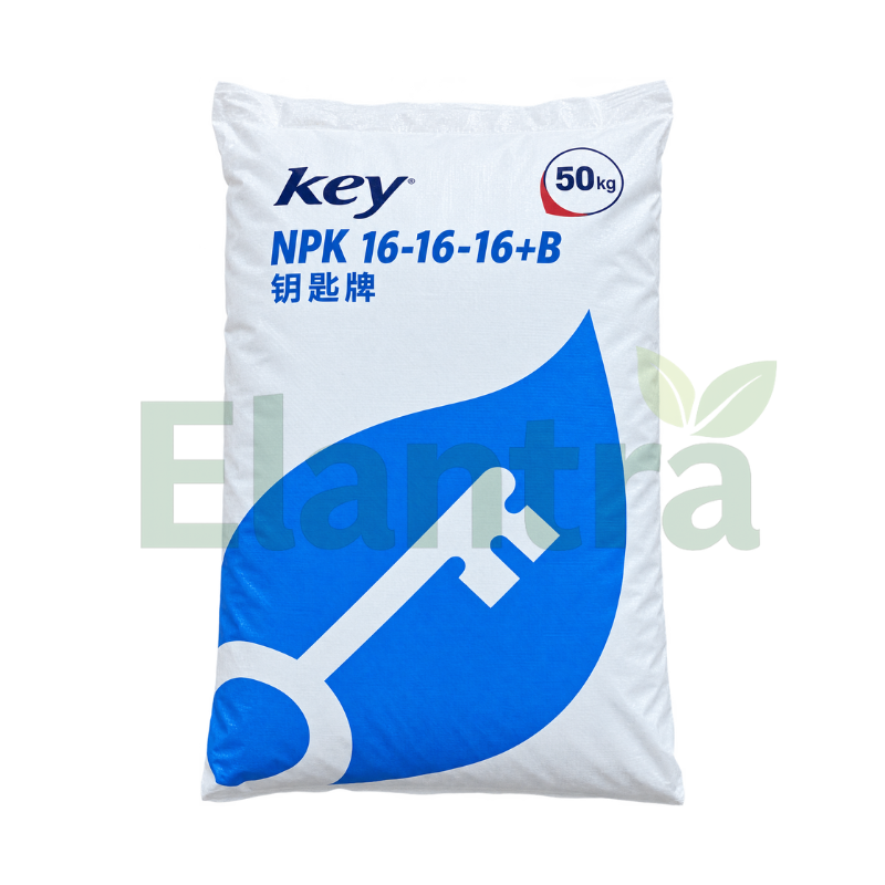 KEY 16-16-16